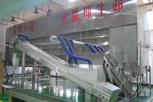 中茶福建公司举行福兴茶叶加工厂扩建项目竣工投产仪式